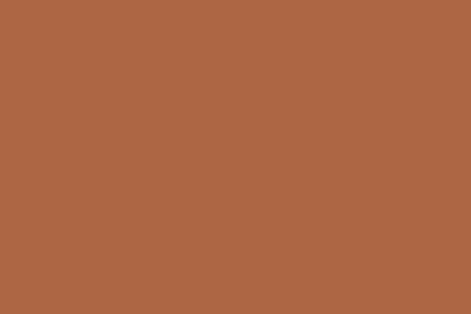 FOND PAPIER MINI 2,10M X 10M - couleur: ( 48 ) SPICE – Image 1