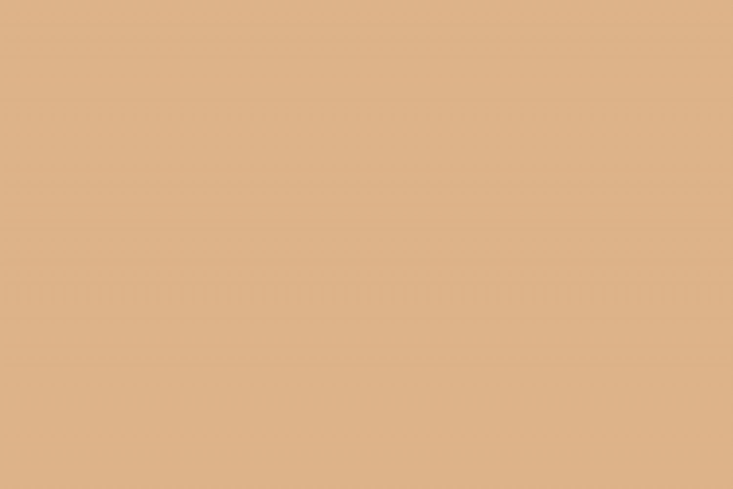 FOND PAPIER MINI 2,10M X 10M ( 66 ) - couleur: WHEAT BEIGE – Image 1